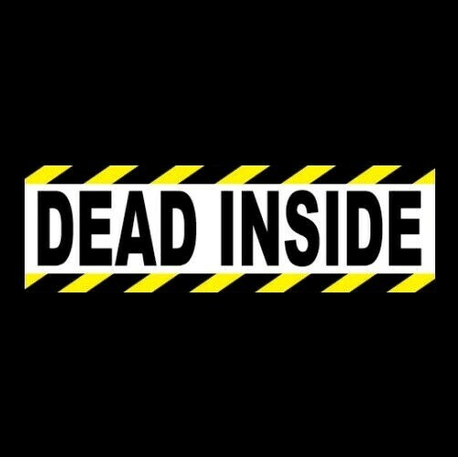 Funny “DEAD INSIDE” funeral hearse BUMPER STICKER zombie monster horror prop NEW