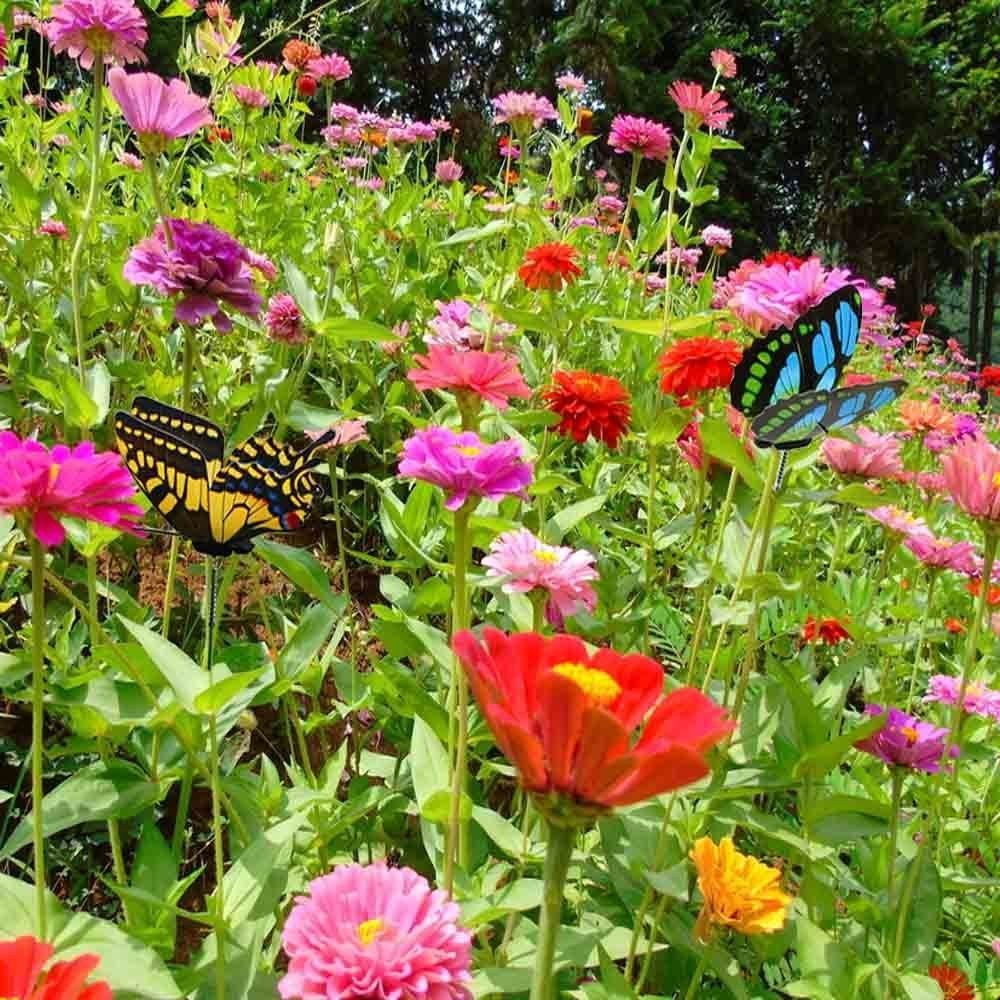 100pcs Butterfly Stakes Outdoor Yard Planter Flower Pot Bed Garden Decor Butt…
