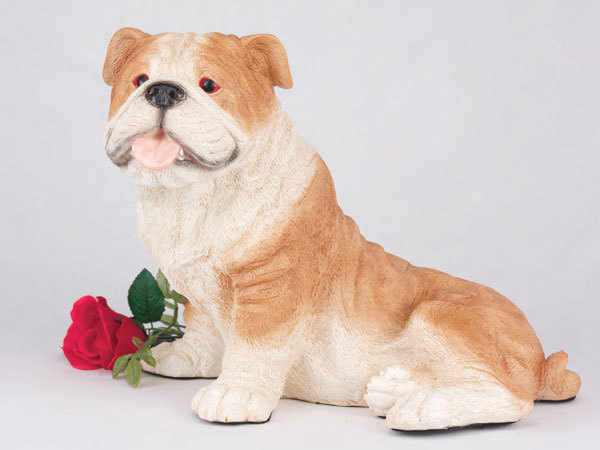 Large 219 Cubic Ins Brown & White Bulldog Resin Urn for Cremation Ashes
