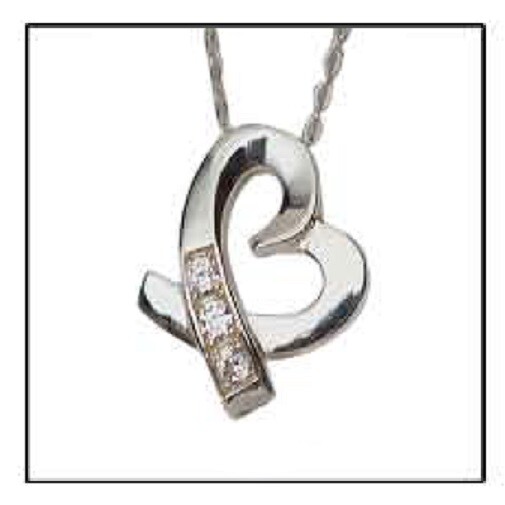 Sterling Silver Caring Heart Funeral Cremation Urn Pendant w/Chain for Ashes