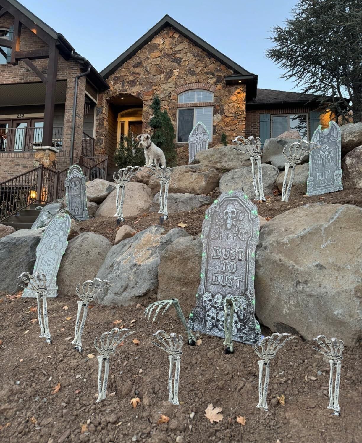 6PC Realistic Skeleton Arm Stakes,Halloween Lawn Decoration,Garden Groundbreaker