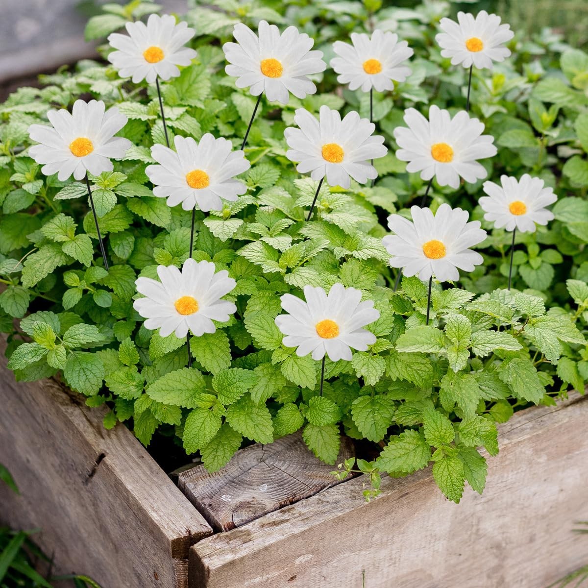 20Pcs Daisy Garden Stakes Iron Metal Flower Yard Patio Lawn Decor White