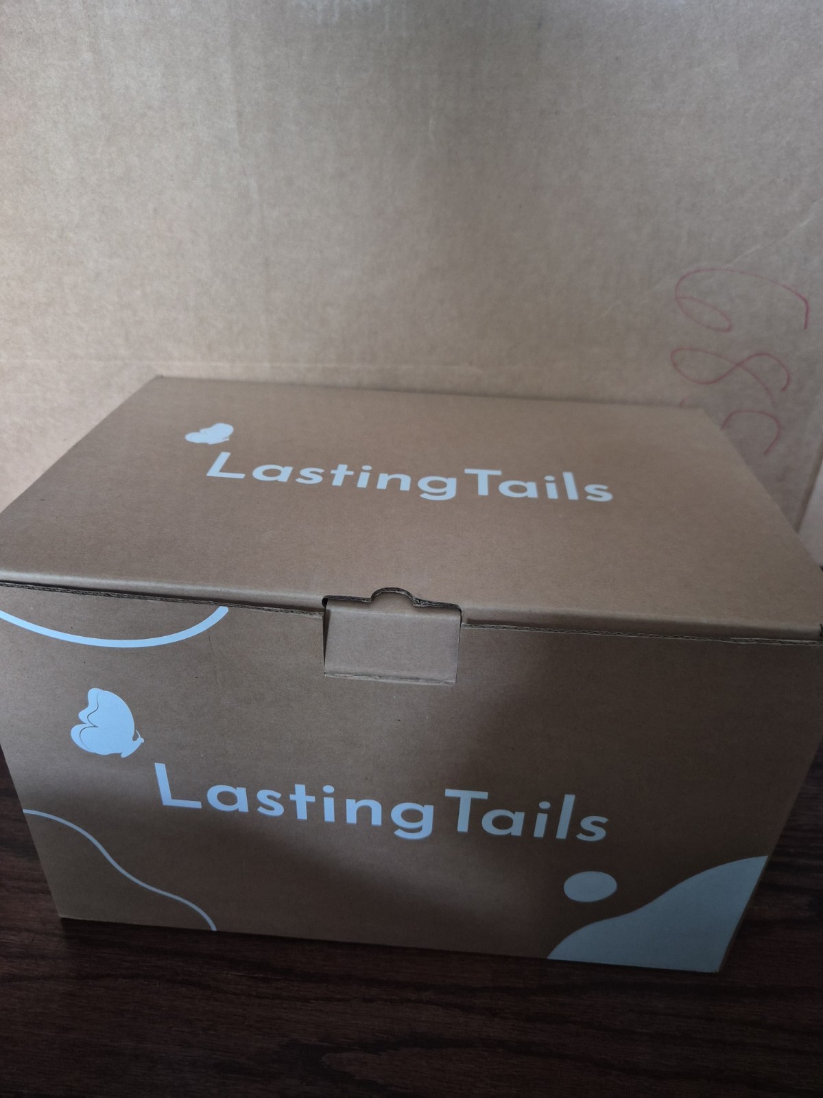 LASTING TAILS Large Cremation Urn Forever and Always Funeral with Bag