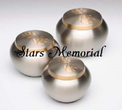 Odyssey Pewter Golden Paw Urn, Memorial Urn for Pet Ashes , Small -Free Shipping