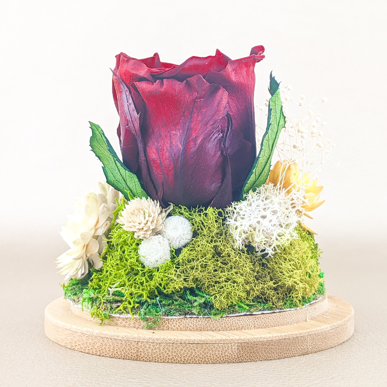 Rose & Silver Urn Memorial Display Glass Dome Altar Mourning Sympathy gift red