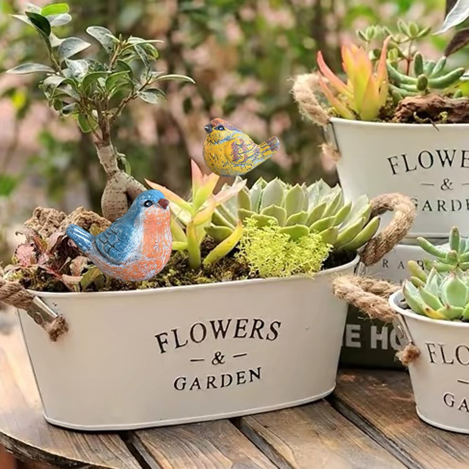 Miniature Bird Decorative Stakes, 2 Pcs Garden Bird Picks Figures, Fairy Gard…