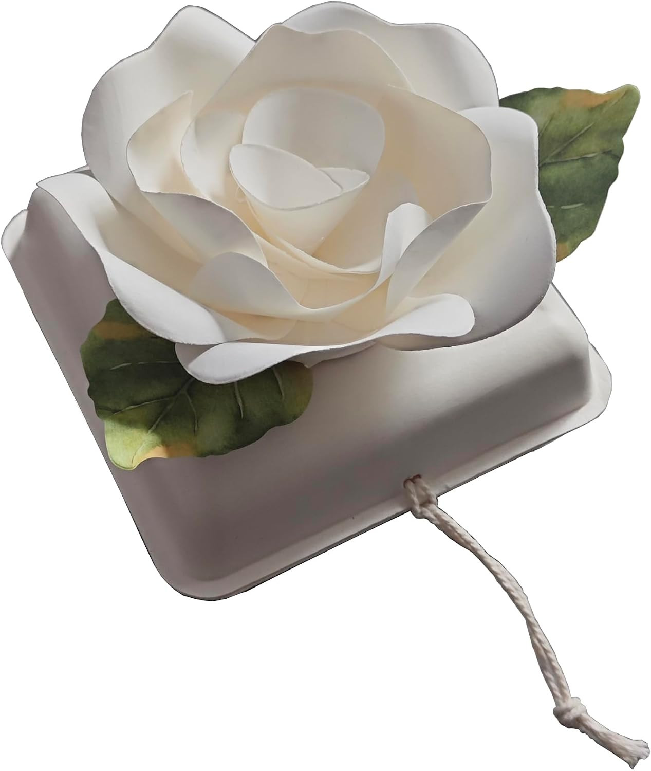 Biodegradable Urn Eco Burial Urns Biodegradable Water Urns Cremation Ocean Scatt