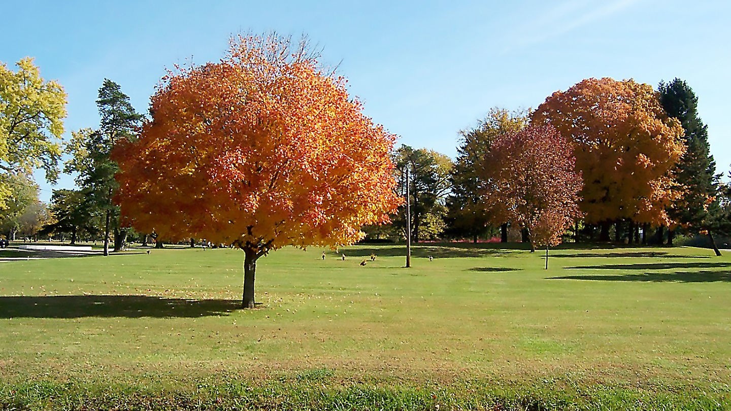 cemetery plots for sale Glenhaven. New Carlisle, Ohio