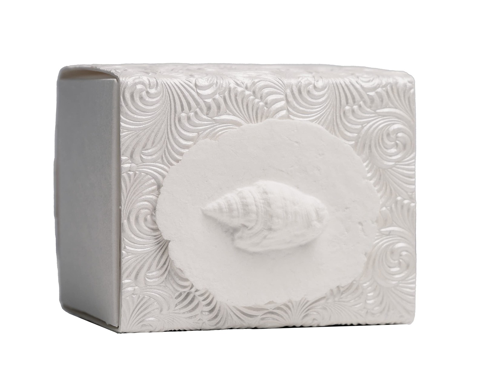 The Favorite Place® Burial Biodegradable Urn for Human Ashes, (Small Shell Ur…