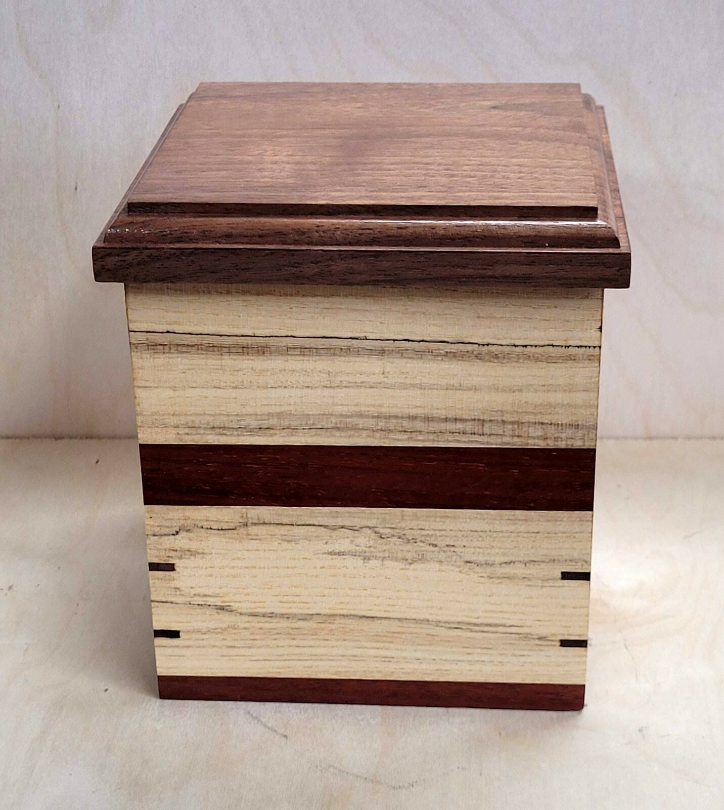 Handcrafted Spalted Hackberry, Black Walnut, & Padauk Pet Human Urn 209