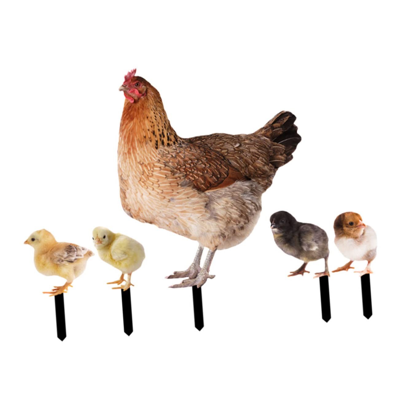 Acrylic Chicken Yard Art, 5pcs Realistic Double Sided Decorative Chicken Stak…