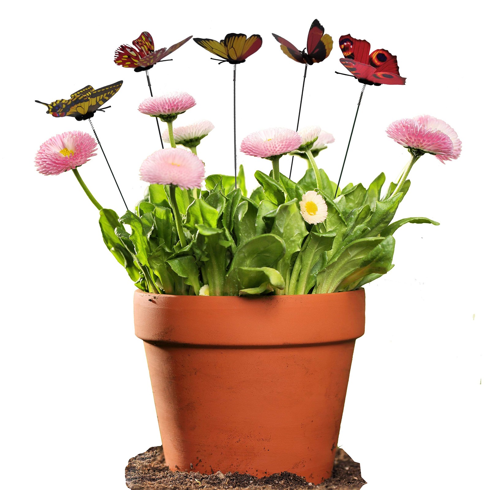 Outdoor Butterfly Garden Stakes – 100pcs Colorful Metal Wire Plant Decor