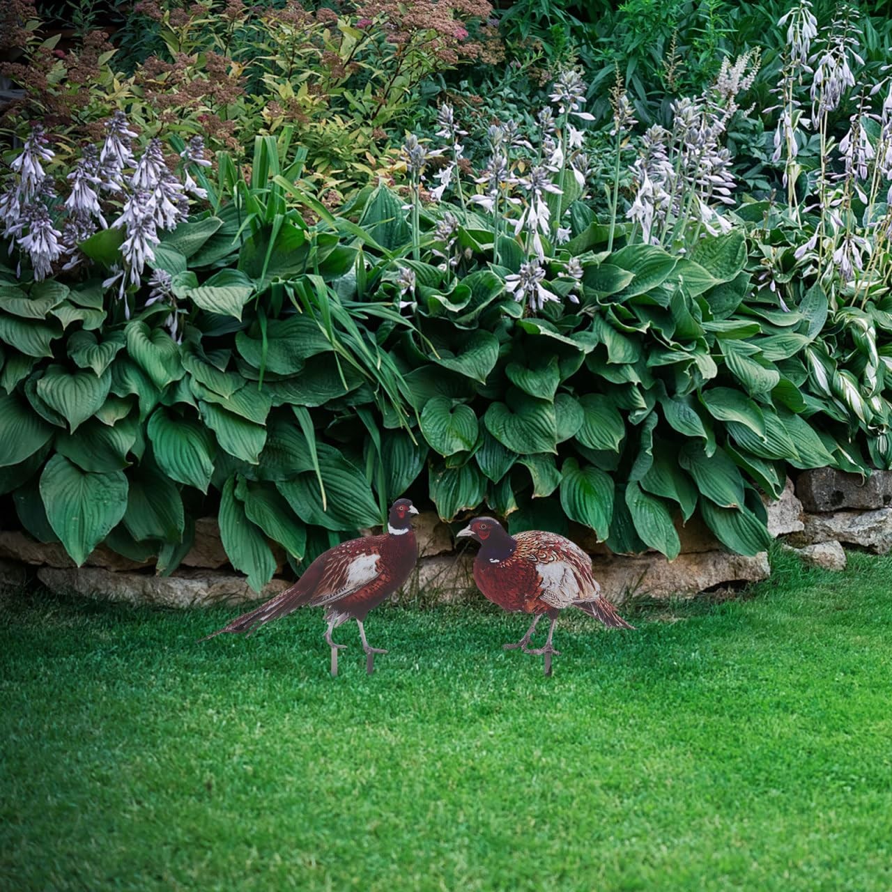 2pcs Lifelike Pheasant Garden Stakes Realistic Chicken Decor for Outdoor Lawn…