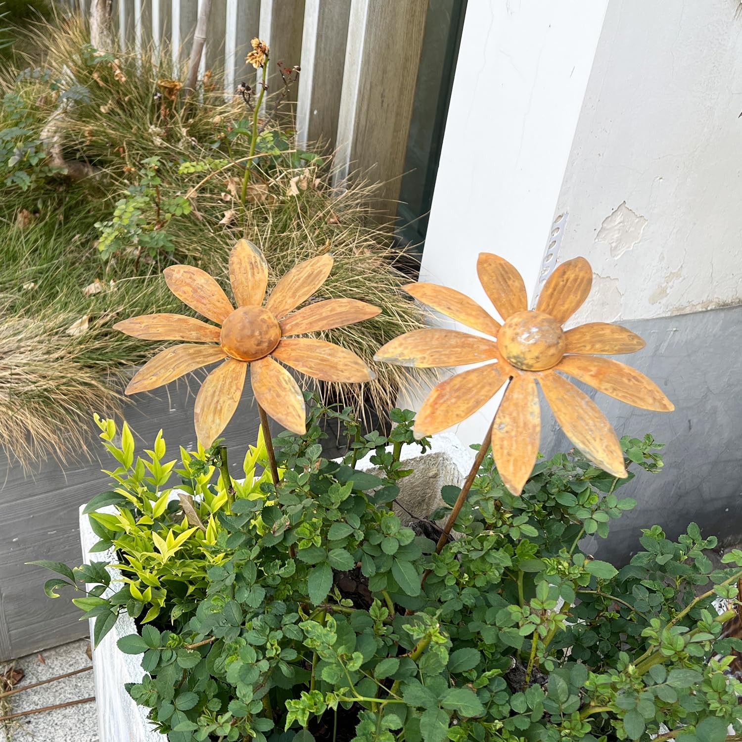 2 PCS Rustic Daisy Garden Decor for Outside,Metal Flower Bed Decorations，Rust…