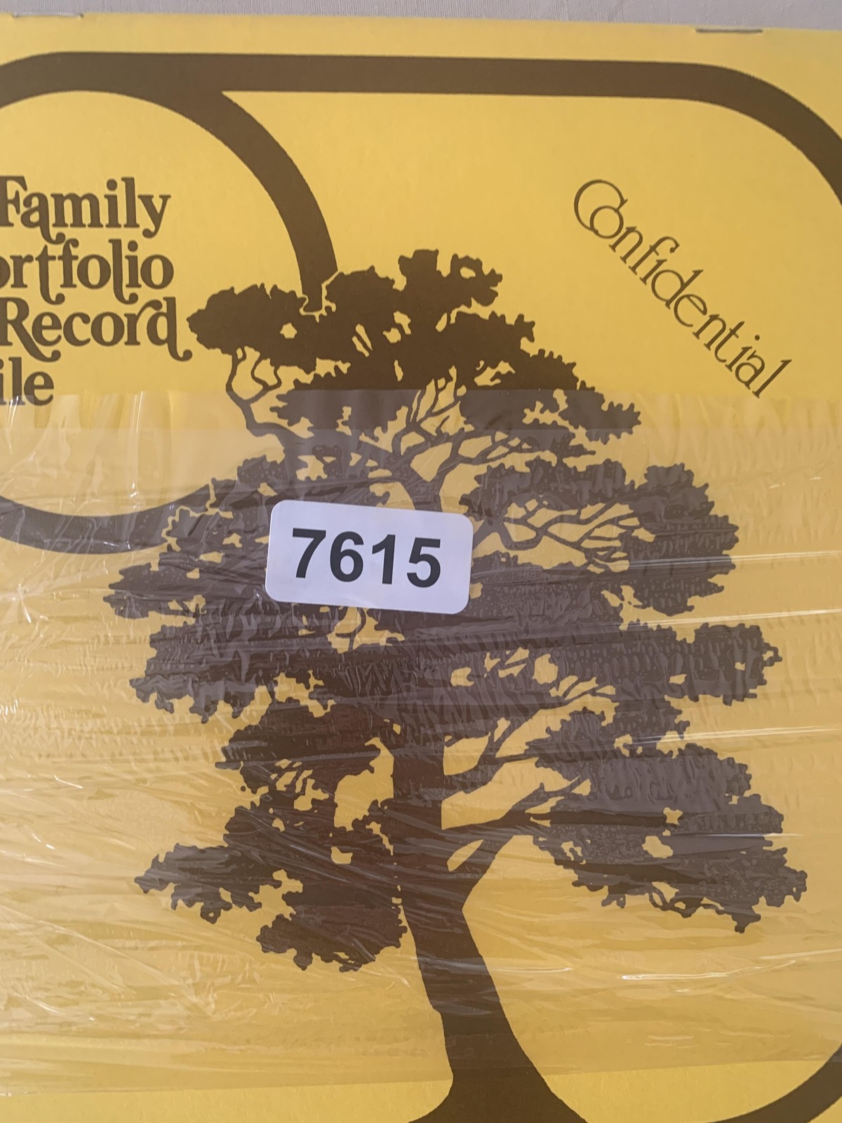 Vintage National Assoc Of Cemeteries Family Portfolio Record File Lot 4 Yellow