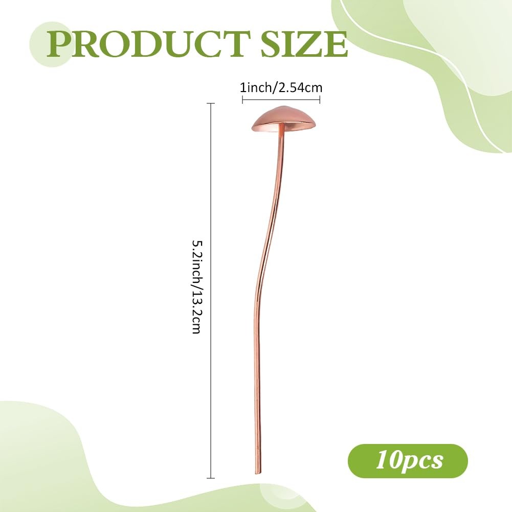 10Pcs Iron Decorative Garden Stakes Plant Stakes Flower Pot Decoration for Pa…