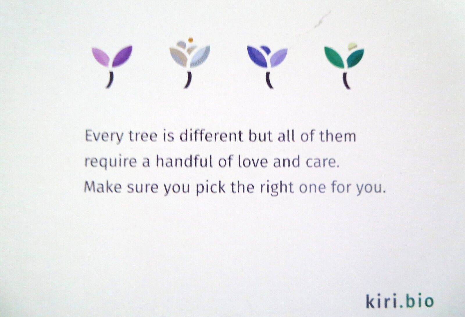 KIRI Biodegradable Tree Urn, Eco Burial Urn w/Crepe(Crape) Myrtle Tree Seeds NOB