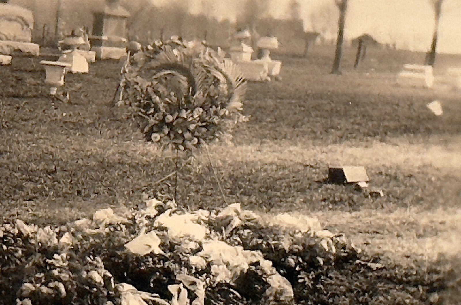 Funeral Photography – Fresh Grave Flowers – Mortuary – Funeral Home – Burial