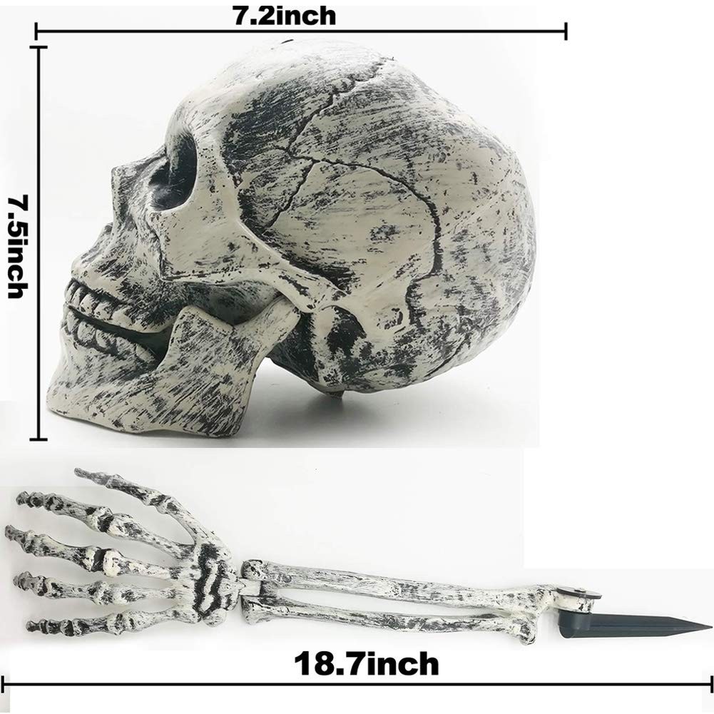 Realistic Halloween Skeleton Stakes Decorations, 3Pcs Groundbreakers Skull He…