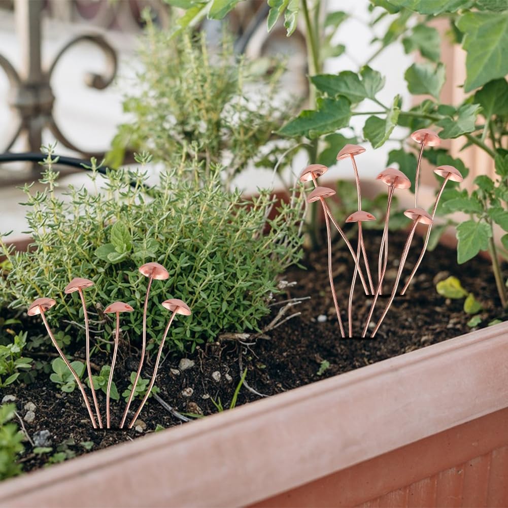 10Pcs Iron Decorative Garden Stakes Plant Stakes Flower Pot Decoration for Pa…